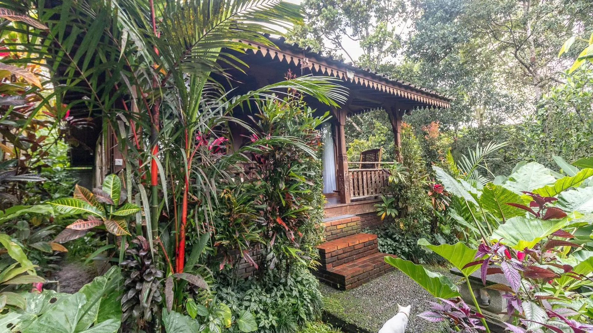 Villa Be Bali Hut Farm Stay Ubud Indonésie